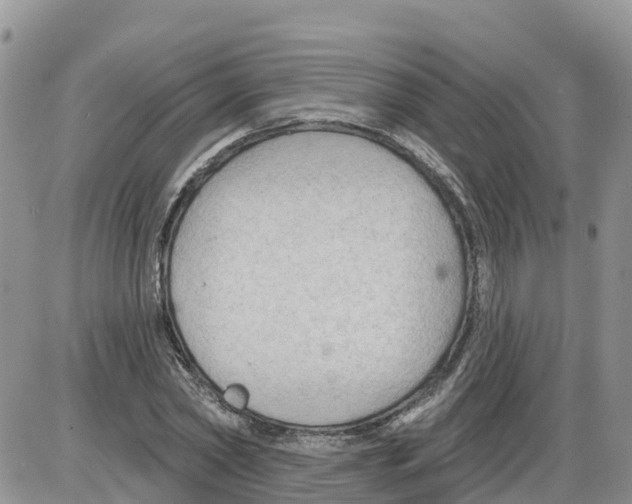 X0000086000782200704201830