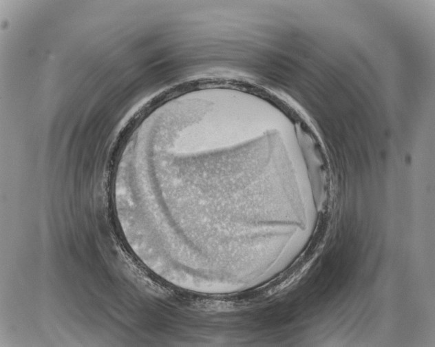 X0000086000783200704201830