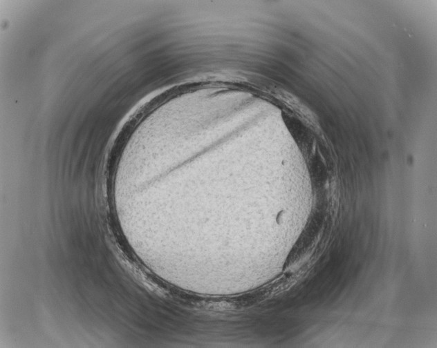 X0000086000784200704201830