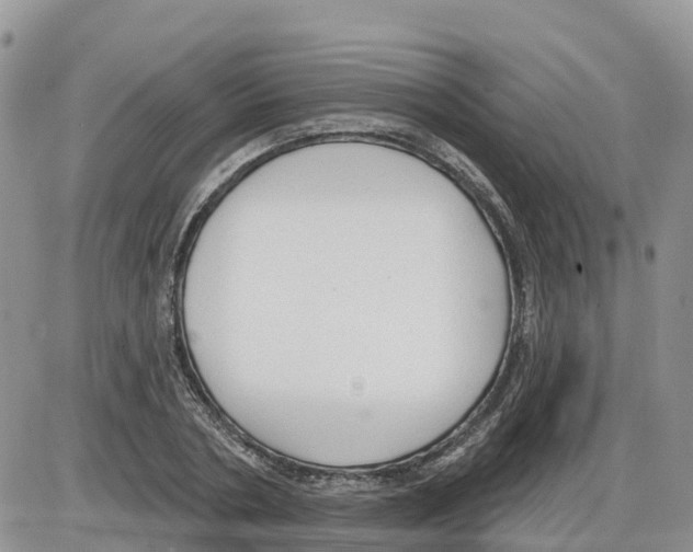 X0000086000786200704201830