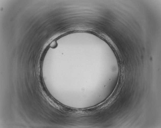 X0000086000787200704201830