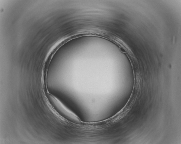 X0000086000788200704201830