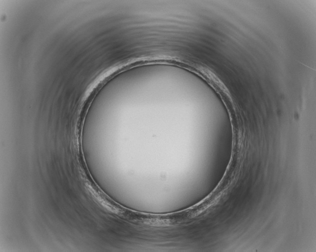 X0000086000789200704201830