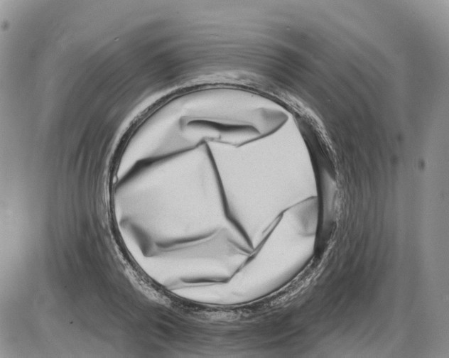 X0000086000792200704201830