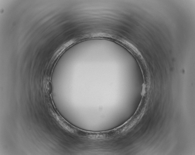 X0000086000793200704201830