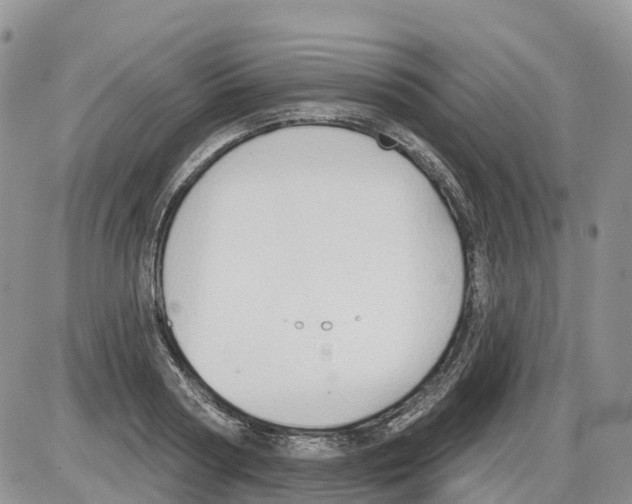 X0000086000794200704201830