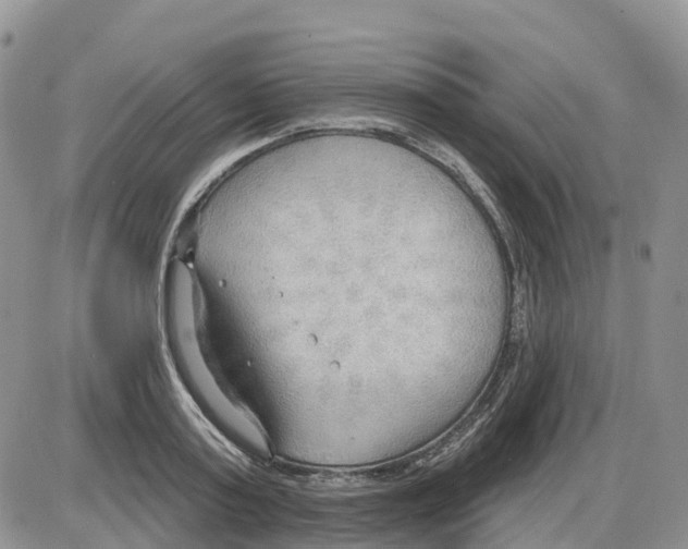 X0000086000795200704201830