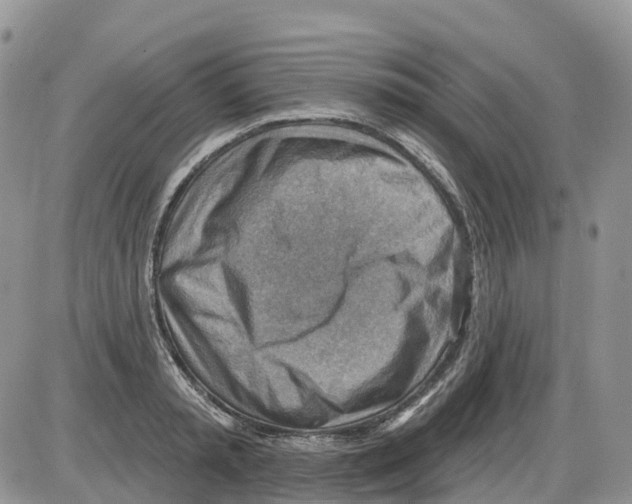 X0000086000797200704201830