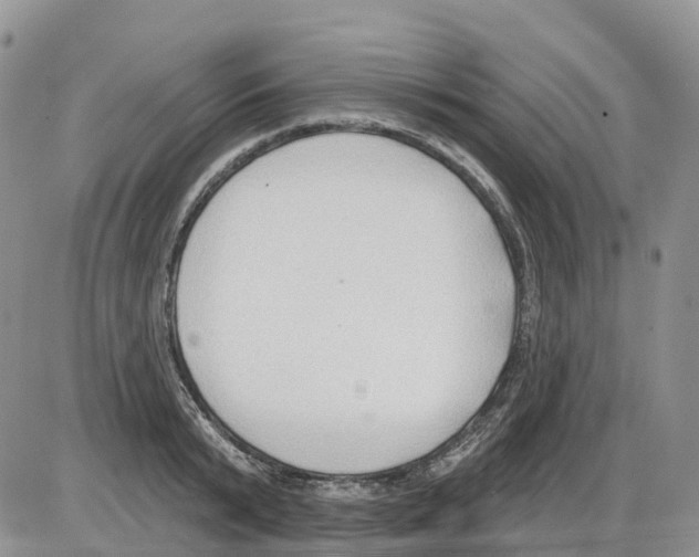 X0000086000799200704201830