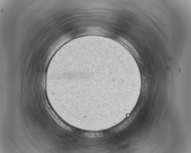 X0000086000804200704201830