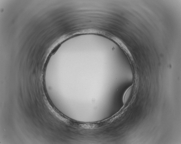 X0000086000805200704201830