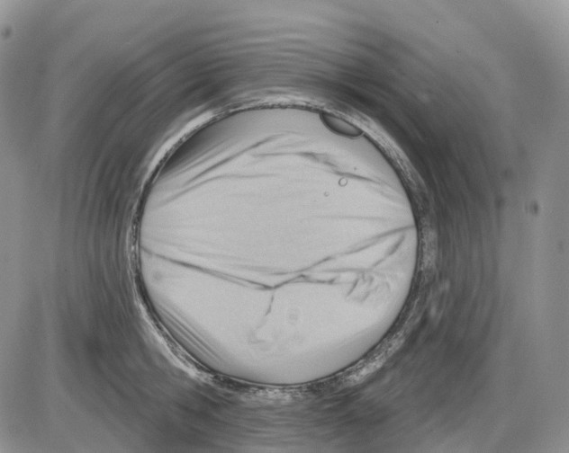 X0000086000806200704201830