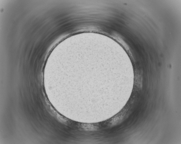 X0000086000807200704201830