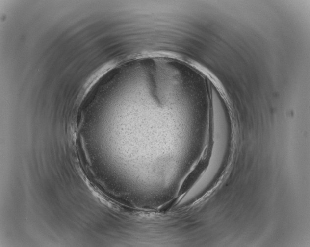 X0000086000809200704201830