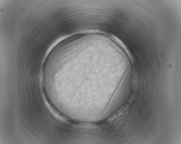 X0000086000811200704201830