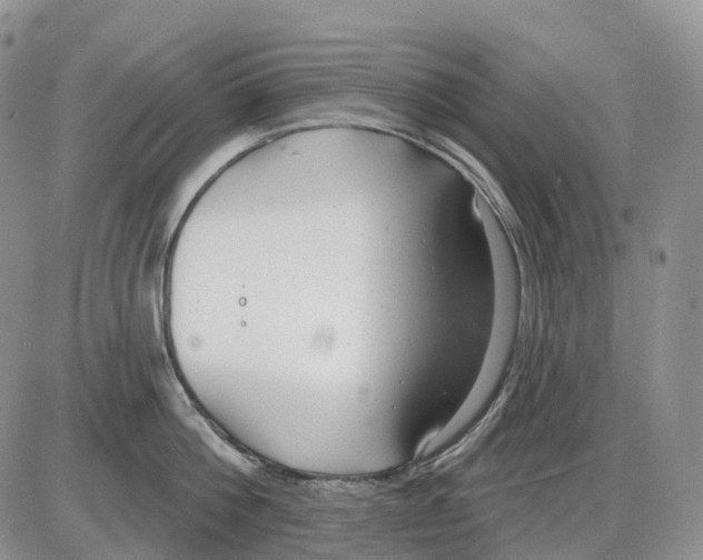 X0000086000812200704201830