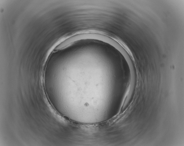 X0000086000813200704201830