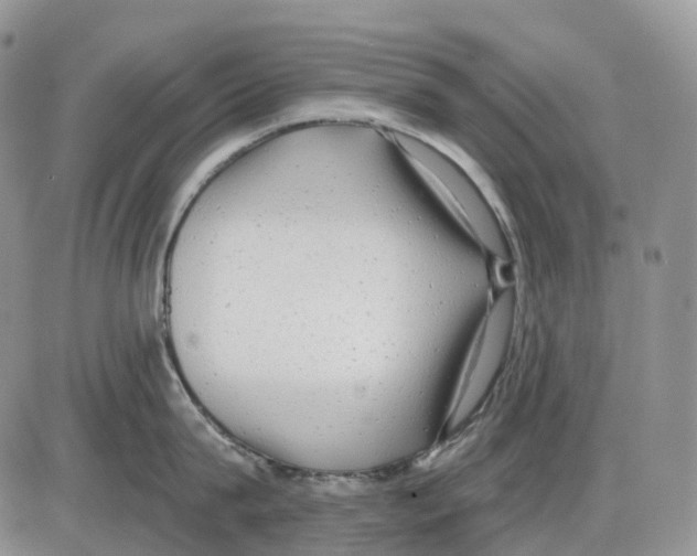 X0000086000815200704201830