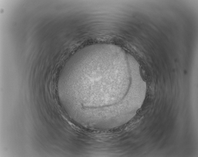 X0000086000817200704201829