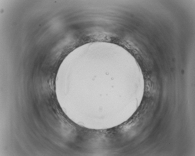 X0000086000820200704201829