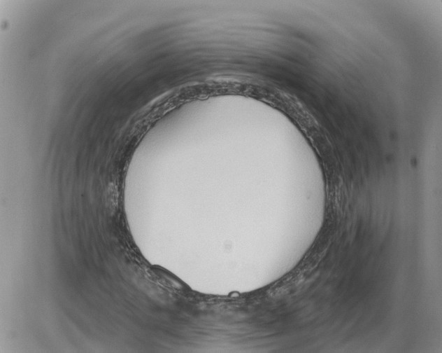 X0000086000821200704201829