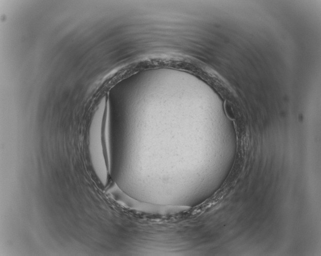 X0000086000822200704201829