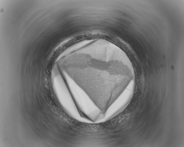 X0000086000823200704201829