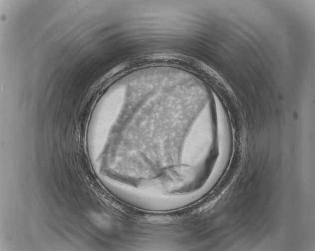 X0000086000825200704201829