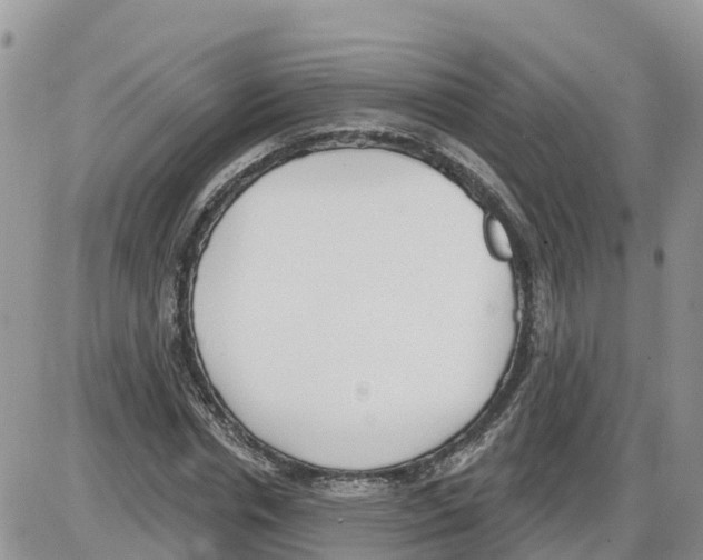 X0000086000826200704201829