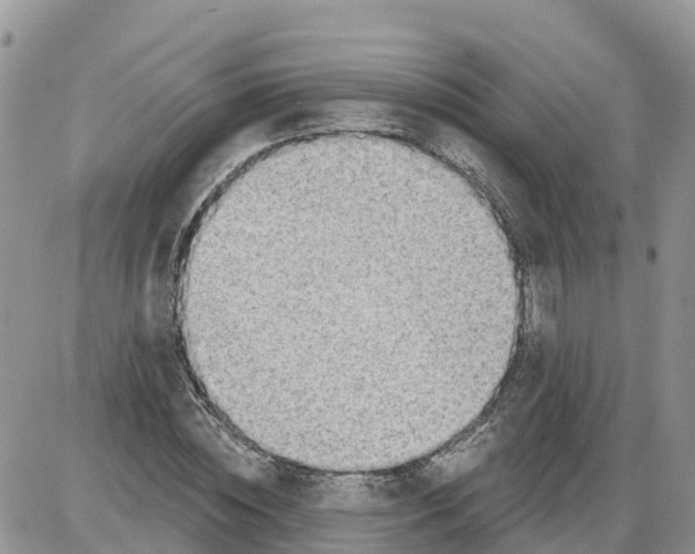 X0000086000828200704201829