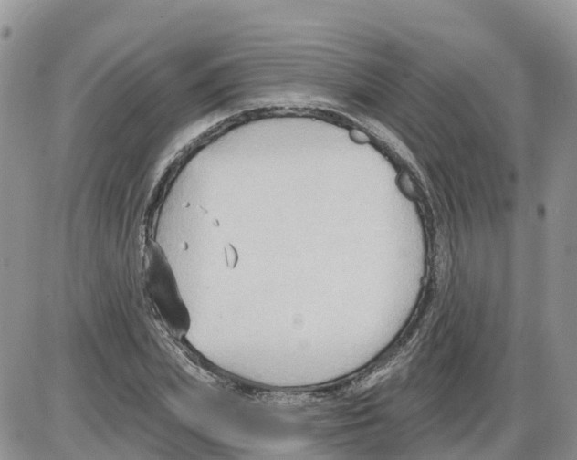 X0000086000831200704201829