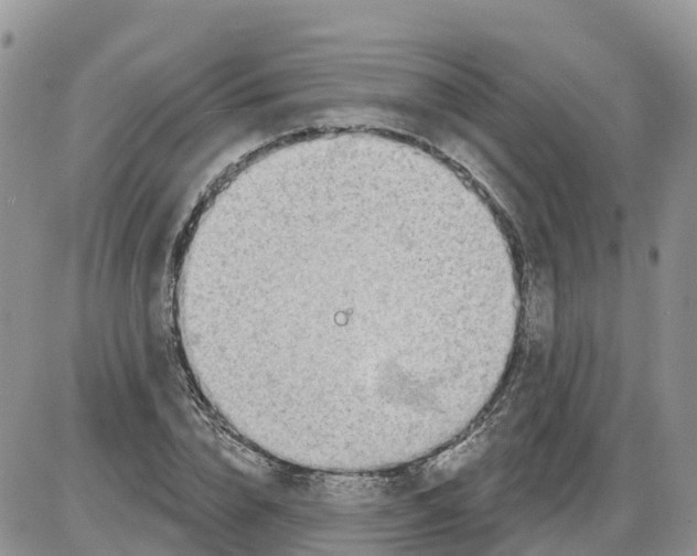 X0000086000832200704201829