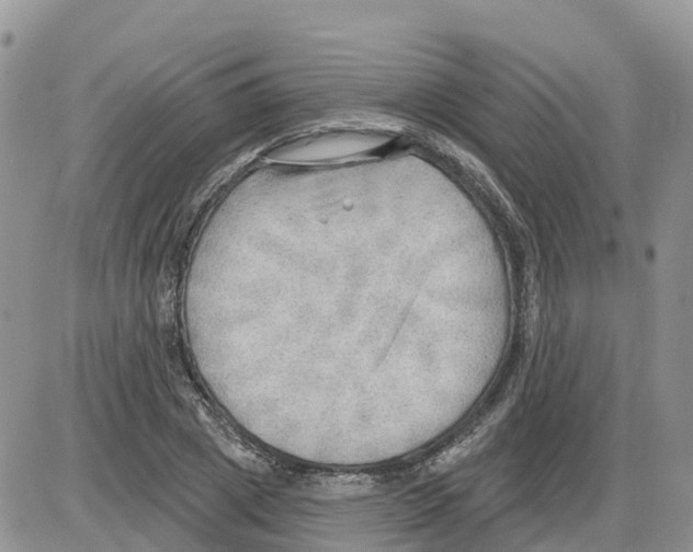 X0000086000833200704201829