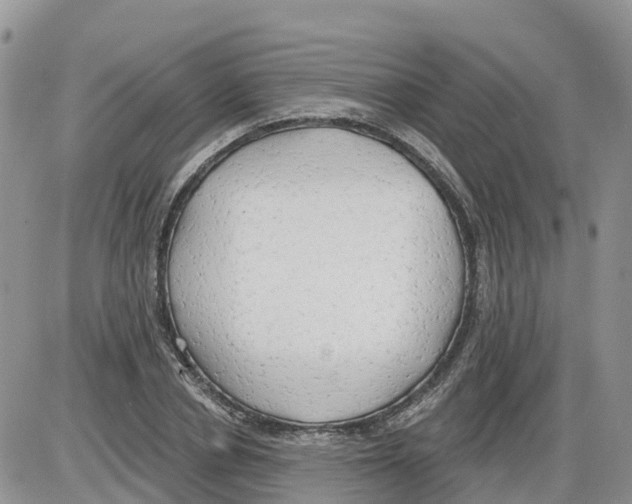 X0000086000834200704201829