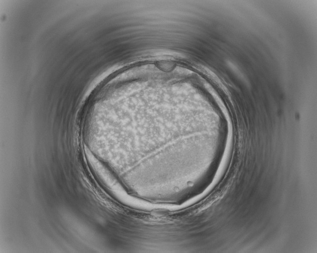 X0000086000835200704201829