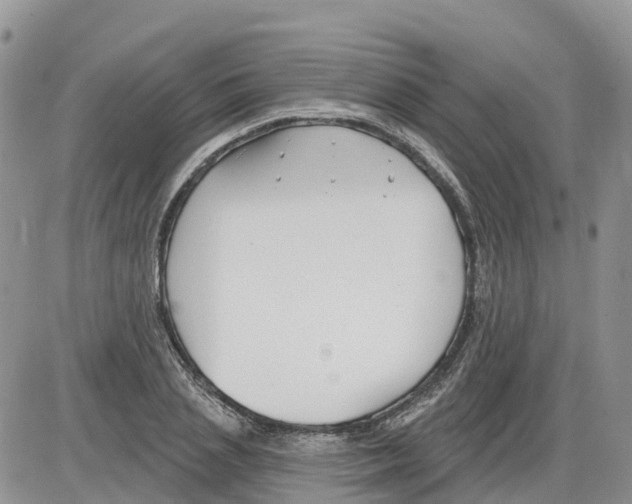 X0000086000837200704201829