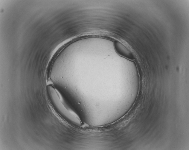 X0000086000838200704201829