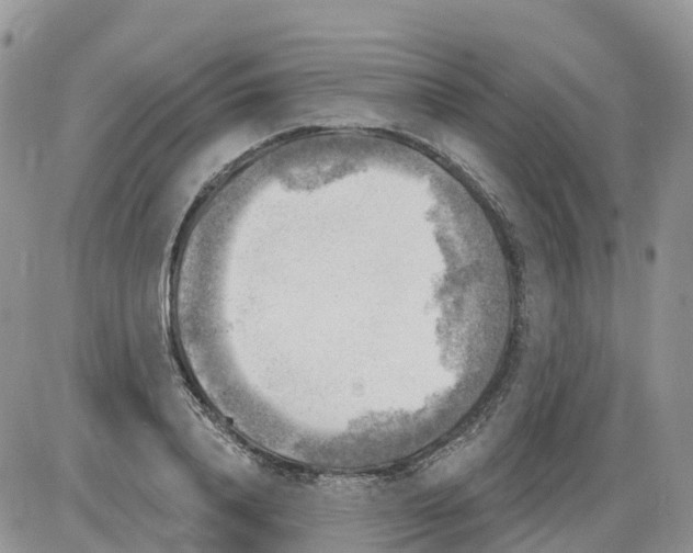 X0000086000840200704201829