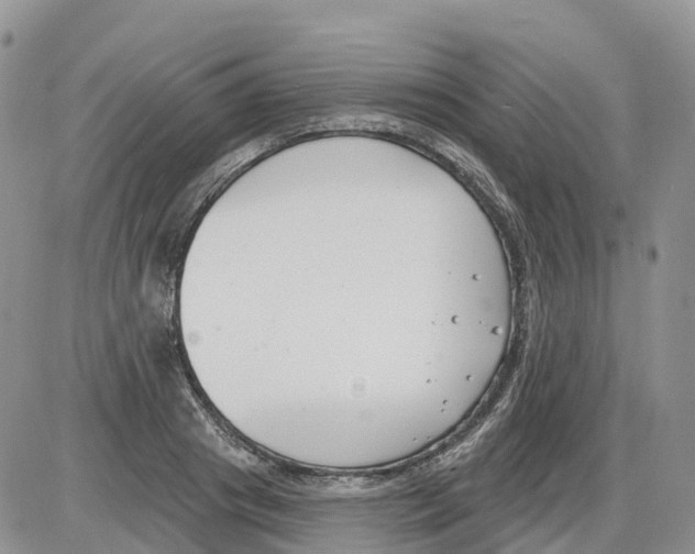 X0000086000841200704201829