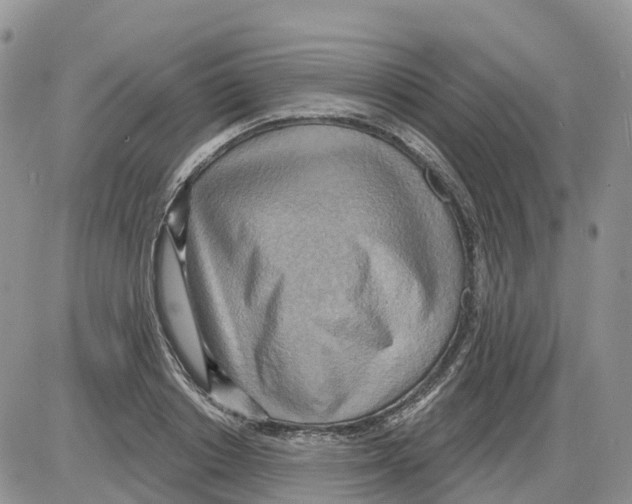 X0000086000842200704201829