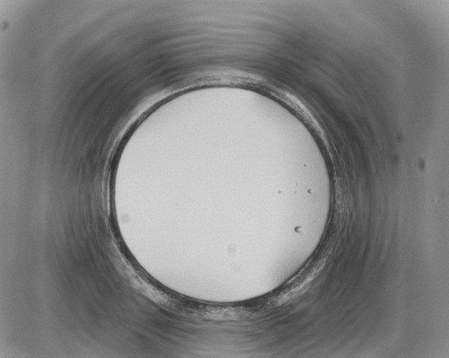 X0000086000843200704201829