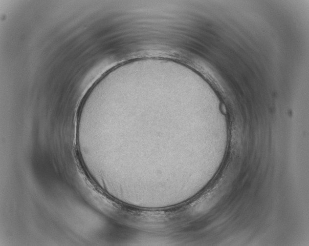 X0000086000844200704201829