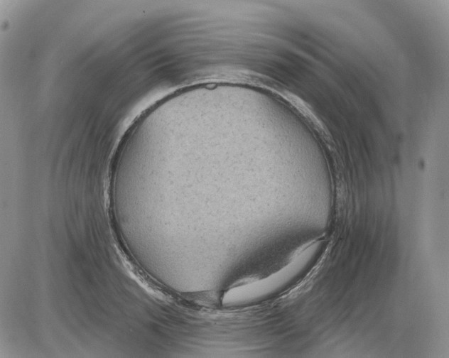 X0000086000846200704201829