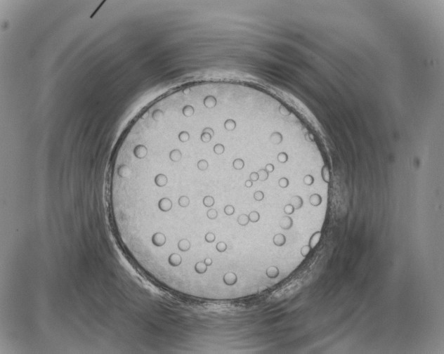 X0000086000847200704201829