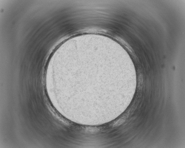 X0000086000848200704201829