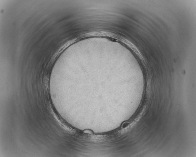 X0000086000849200704201829