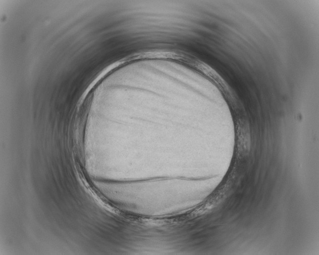 X0000086000852200704201829