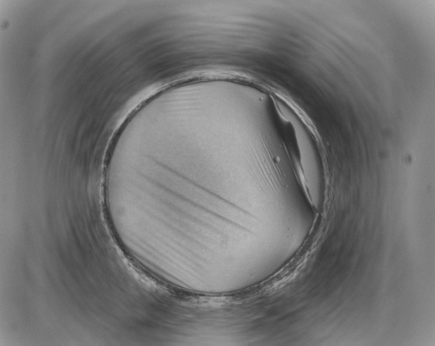 X0000086000853200704201829