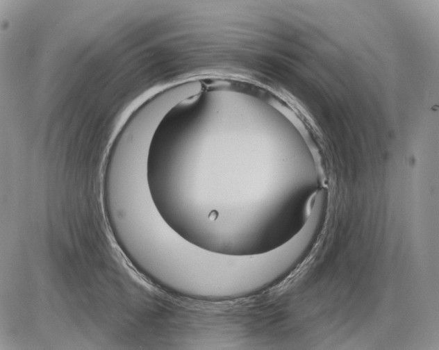 X0000086000854200704201829