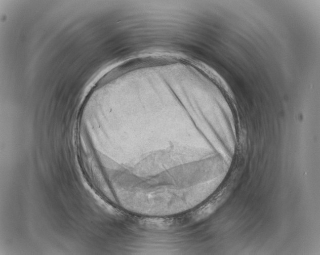 X0000086000855200704201829